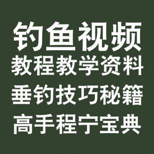 钓鱼王视频教程教学资料 垂钓技巧秘籍 高手程宁经验分享必备宝典