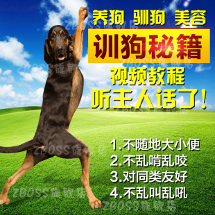 特价 训狗 训犬教程 养狗视频光盘教材送新概念技术方法大全