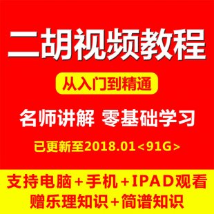 零基础自学二胡视频教程 全套二胡入门少年中老年教学大全