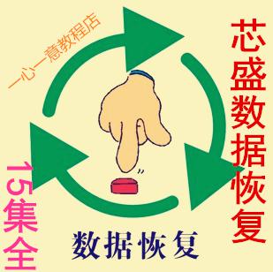 芯盛高级数据恢复视频教程全15集 学习数据恢复之人不可缺少