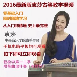 2016袁莎古筝自学教程 初学零基础入门教学视频教程精讲全套