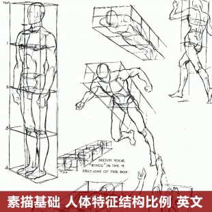 英文素描教程 人像人体结构肌肉五官手脚手绘基础入门素材