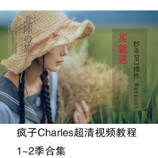 人像摄影单反进阶视频教程 POCO网红摄影教程PS后期调色修图教程