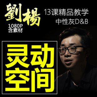 最新灵动空间修图人像商业精修造像之术中性灰刘杨ps后期教程素材