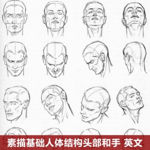 英文素描速写人像教程 人体结构肖像头部五官手脚基础绘画
