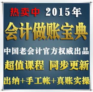 2015年会计做账宝典真账实操|老会计手把手教做账|出纳实务教程