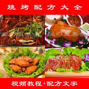 烧烤小吃制作技术配方 含奥尔良烤鸡 韩式烤肉 烧烤酱料 撒料制作