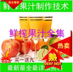 鲜榨果汁视频教程 果蔬汁制作做法 饮品创业开店小吃技术配方