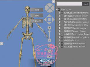 3Dbody2.0/全三维人体模型/3D解剖医学软件中文版/医学爱好者助手