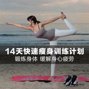 健身减肥视频教程14天瘦身计划男女塑身操马甲线
