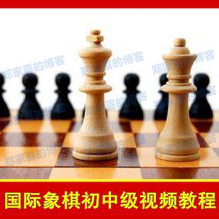 孙旗男国际象棋教程 国际象棋入门提高 初中级教学教程讲座