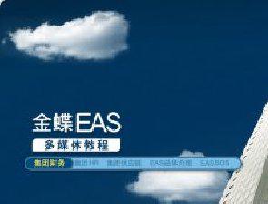 金蝶ERP EAS标准财务模块多媒体操作演示视频培训教程金蝶ERP教程