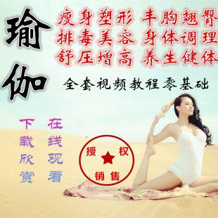 瑜伽视频教程高清 初级入门基础自学减肥瘦身养生课程下载