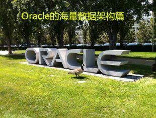 Oracle视频教程 Oracle数据库海量数据架构设计篇视频教程