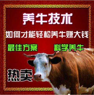 养牛技术大全 科学养牛教程资料牛病防治非光盘肉牛奶牛养殖技术