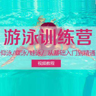 游泳教学视频教程 蛙泳仰泳蝶泳自由泳零基础自学游泳技巧视频