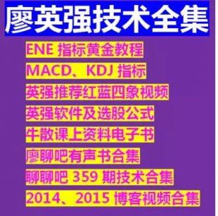 炒股票视频教程谈股论金廖英强全集股市廖聊吧有声书聊聊吧技术
