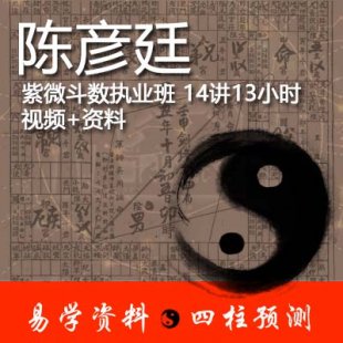 陈彦廷-紫微斗数执业班 14讲13小时视频+资料