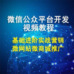 微商微信开发视频教程 公众平台接口微网站微商城 推广营销全套