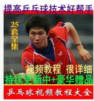 乒乓球视频教程全套 《学打乒乓球》 乒乓球入门到高手