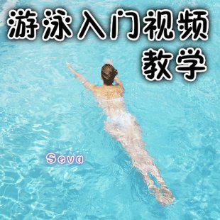 游泳视频教程/入门到高手教程 仰泳 蝶泳 自由泳 蛙泳培训教材