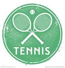 网球视频教程10套合集 尼克汤姆FYB美国网球经典教学全集