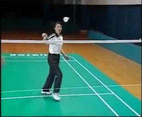 李玲蔚羽毛球教学视频 打好羽毛球教程----《从菜鸟到高手》