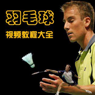 羽毛球视频教程(20套) 合集 最全的羽毛球教学大全