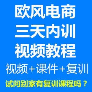 欧风3天培训电商教程vip内训视频教程 淘宝培训教程 直通车培训