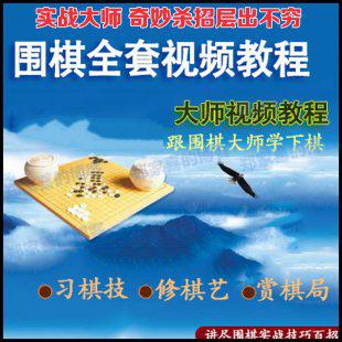 围棋入门与提高视频教程全套 棋艺赏棋局跟围棋大师学下棋