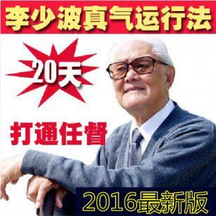 李少波真气运行法视频教程20天打通任督二脉养生武术气功道家真气