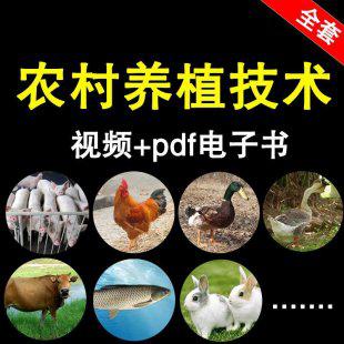 2016农村养殖鸡鸭牛羊兔技术视频教程全套 农民创业赚钱项目