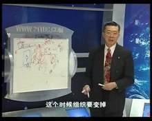 贺礼 少量多批的精益生产模式 5VCD 培训光盘视频讲座