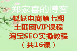 狐妖电商第七期土匪团VIP课程 淘宝SEO实操教程（共16课）