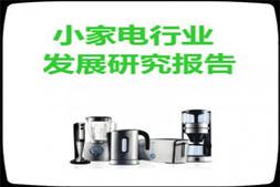 2017年中国小家电行业市场发展研究分析报告pdf（28页）