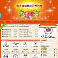 智睿网络投票评选管理系统 v10.7.8