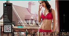 （自适应手机版）响应式内衣服饰服装类网站源码 HTML5内衣织梦模板