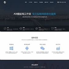 （带手机版数据同步）高端网站建设网络设计互联网信息化服务类网站源码 软件开发网络工作室网站织梦模板