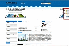 网新中英繁CMS v11.5