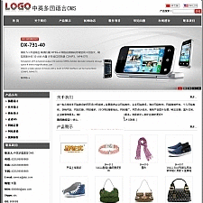 网新中英多国语言CMS v10.1