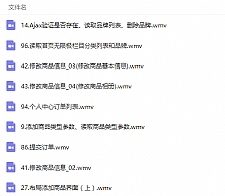 大型商城开发视频教程全程实录