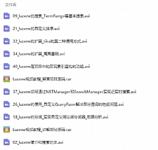 Lucene全文检索引擎架构零基础入门到实战视频教程