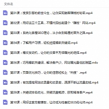 零基础学SEO引爆流量躺赚 SEO视频教程