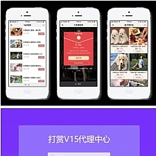 DS正版视频打赏系统V15+代理商功能+试看功能+多种免签支付接口+防封功能