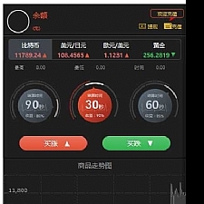 全新界面微交易系统 微盘时间盘风控版源码