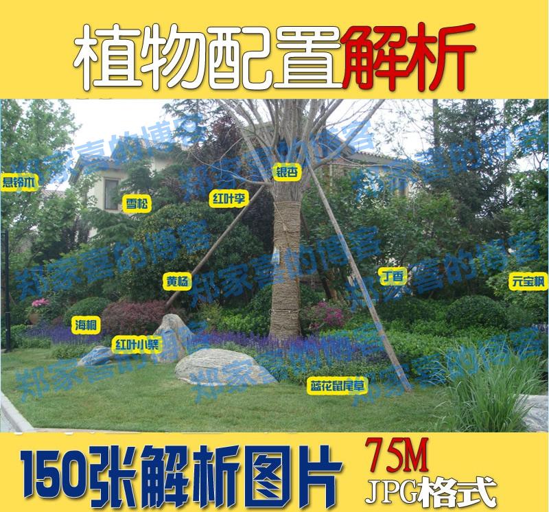 2015版 植物配置解析 景观园林种植规划设计参考素材资料实景照片