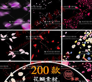 200款PS花瓣素材 玫瑰花瓣PSD/PNG素材