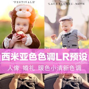 Lightroom预设 LR预设波西米亚色调暖色人像婚礼小清新预设