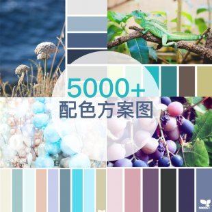 配色宝典配色方案色彩搭配大全平面网页设计师ui颜色卡色板素材