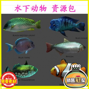 Unity 3D模型 人物角色水下动物资源包淡水鱼、海底鱼超100种